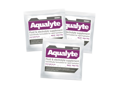 Aqualyte Berry 80g Sachets