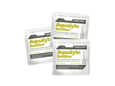 Aqualyte Lemon-Lime 80g Sachets